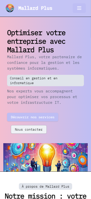Capture d'écran principale du projet Mallard Plus - Business services website with company profile and client information